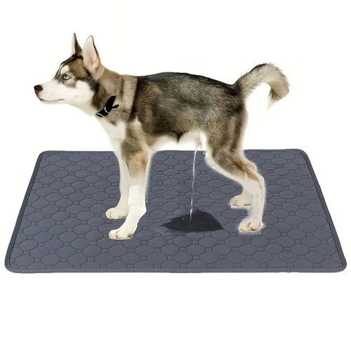 Dog Pee Pad Reusable Washable Dog Urine Mat Car Seat Floor Sofa
