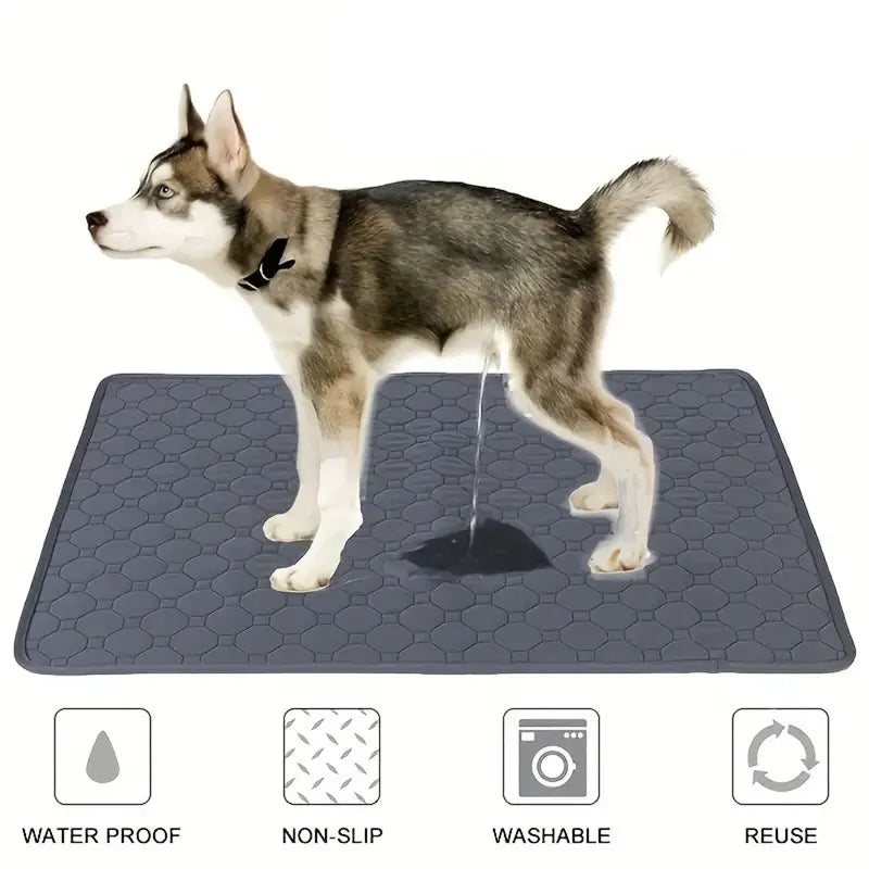 Dog Pee Pad Reusable Washable Dog Urine Mat Car Seat Floor Sofa