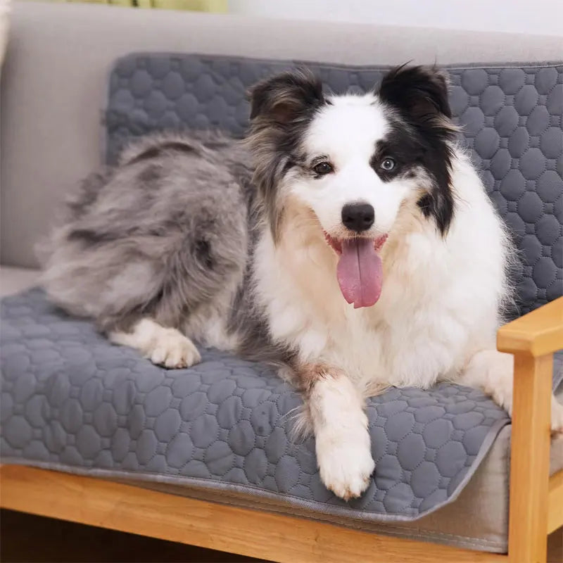 Dog Pee Pad Reusable Washable Dog Urine Mat Car Seat Floor Sofa